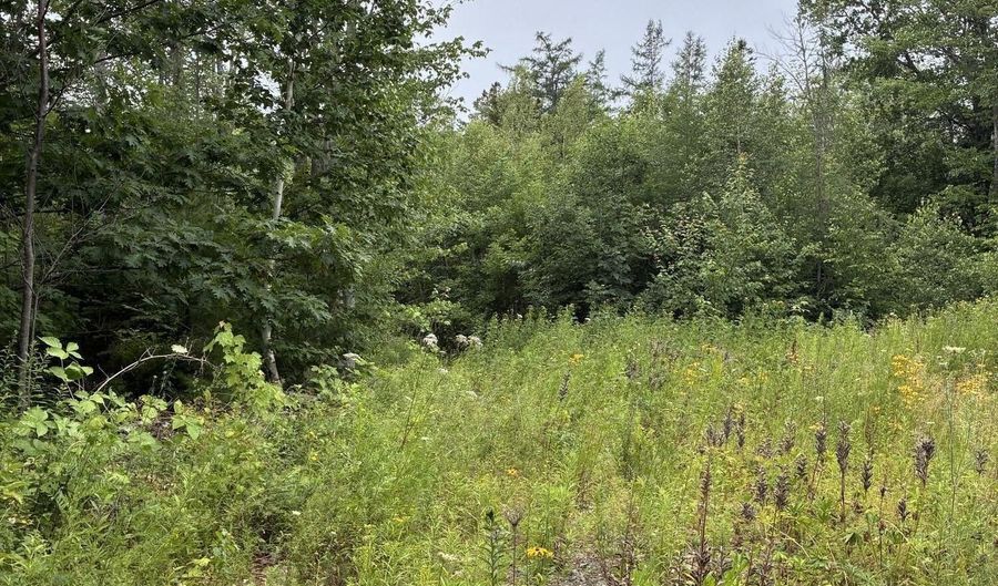 White Deer Circle lot 10, Bar Harbor, ME 04609 - 0 Beds, 0 Bath