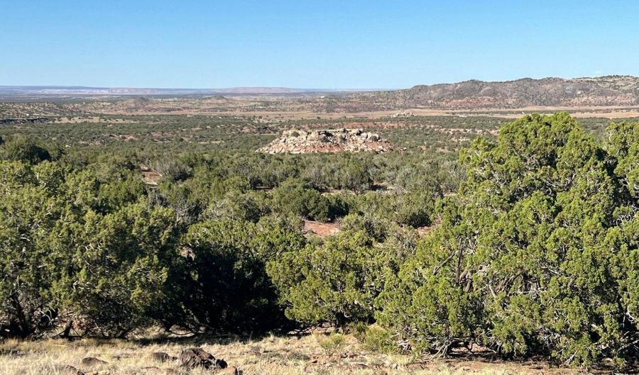 2 N8604, Concho, AZ 85924 - 0 Beds, 0 Bath
