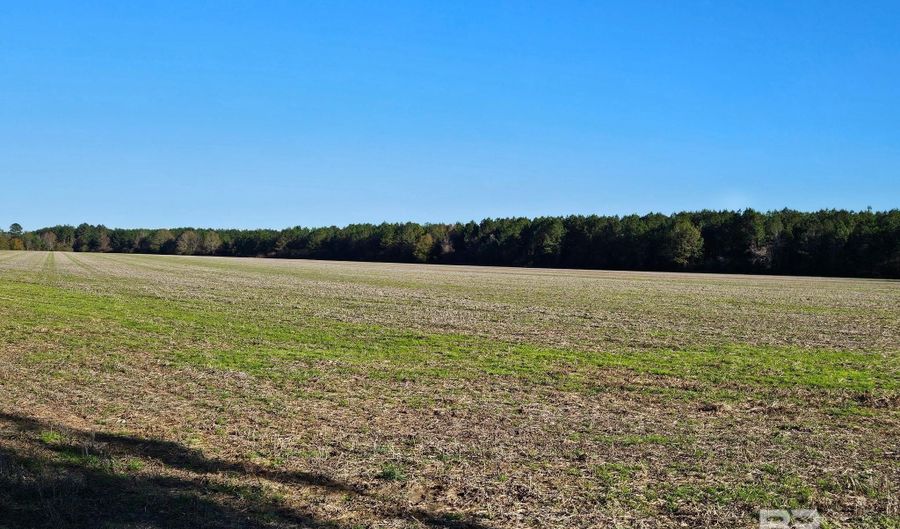0 Three Mile Rd, Atmore, AL 36502 - 0 Beds, 0 Bath