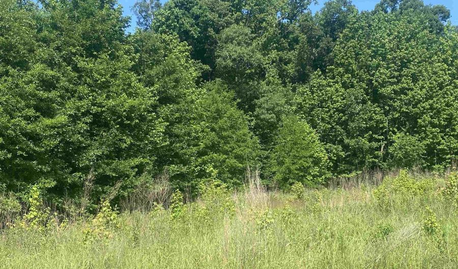 Lot 25 Cinel Loop, Austin, AR 72007 - 0 Beds, 0 Bath