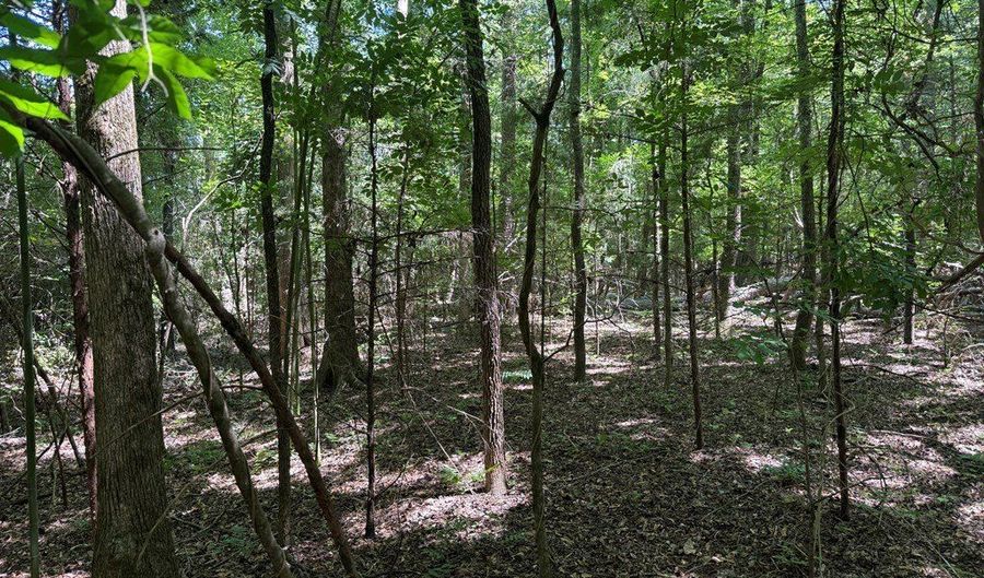 Old Greenwood Highway, Abbeville, SC 29620 - 0 Beds, 0 Bath