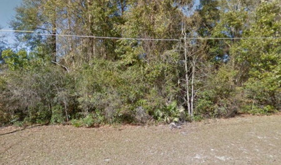 00 174th Pl, Fanning Springs, FL 32693 - 0 Beds, 0 Bath