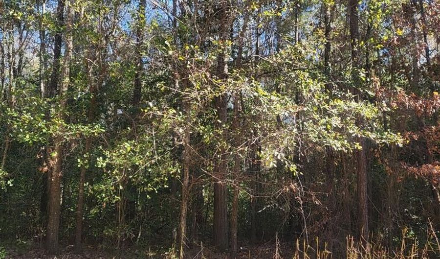 0 Lumpkin St, Albany, GA 31705 - 0 Beds, 0 Bath