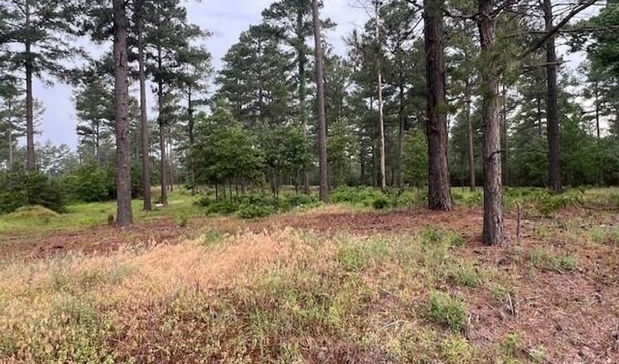 2 N 4140 Rd, Antlers, OK 74523 - 0 Beds, 0 Bath