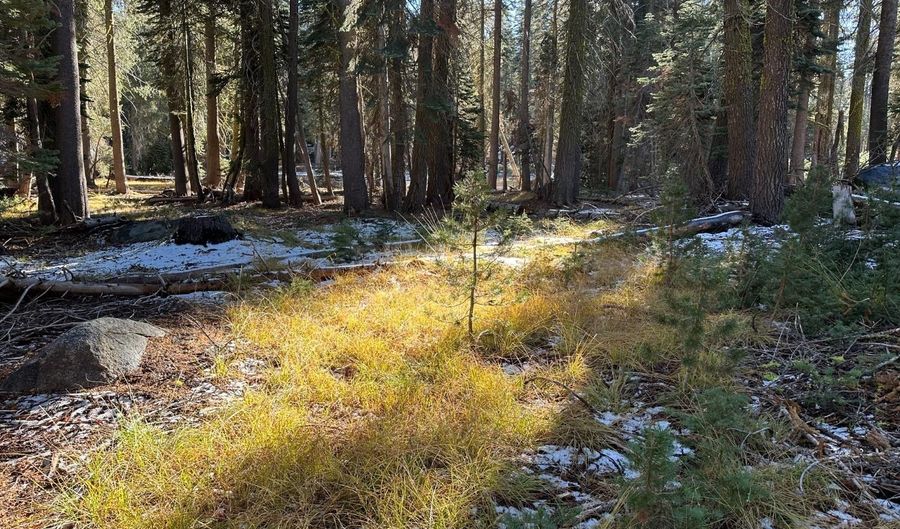550 Cabbage Patch Log Rd, South Lake Tahoe, CA 95223 - 0 Beds, 0 Bath