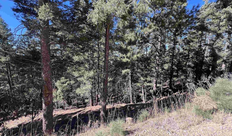 Back Basin Rd lot 156, Angel Fire, NM 87710 - 0 Beds, 0 Bath