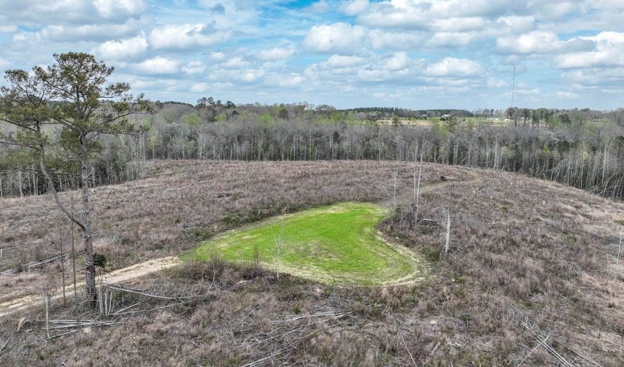 919 County Road 6628, Banks, AL 36005 - 0 Beds, 0 Bath
