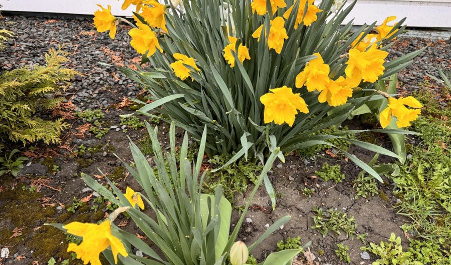 1045 Broadway, Bangor, ME 04401 - 0 Beds, 0 Bath