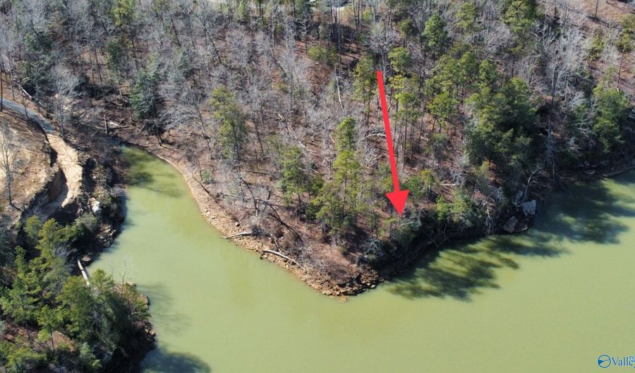 Lot 91 Sipsey Overlook, Double Springs, AL 35553 - 0 Beds, 0 Bath