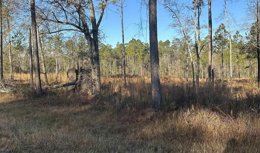50945 US Highway 31, Bay Minette, AL 36507 - 0 Beds, 0 Bath