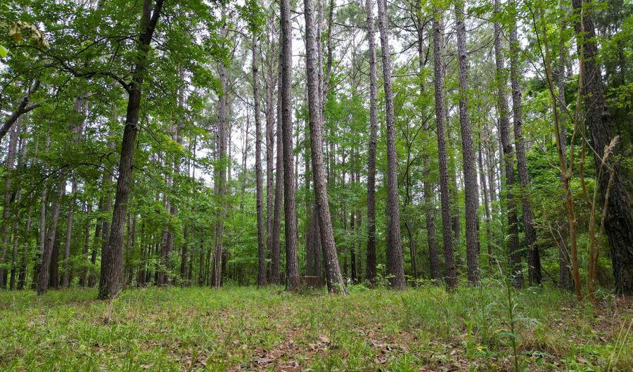 115 Smith Island Trl B, Bonneau, SC 29431 - 0 Beds, 0 Bath