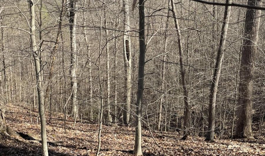 N Center Ridge Place, Baneberry, TN 37890 - 0 Beds, 0 Bath