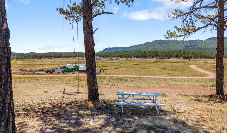 32 The Ranch At Alpine, Alpine, AZ 85920 - 0 Beds, 0 Bath