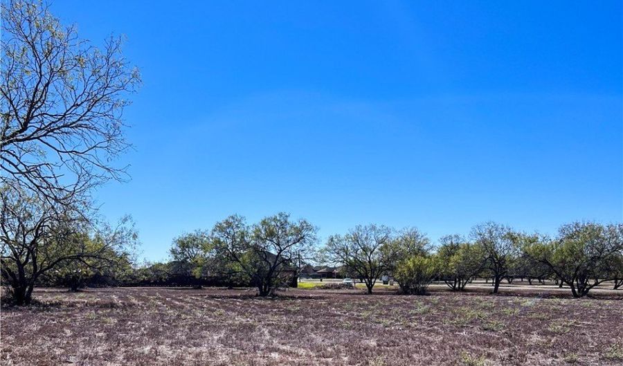 Fm 3376 lot 10, Alice, TX 78332 - 0 Beds, 0 Bath