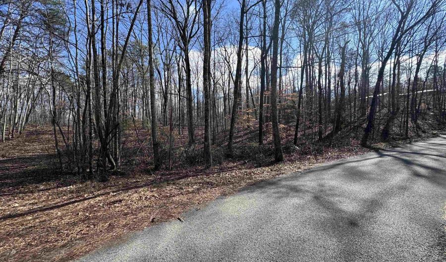 1 3 Acres Rainbow Dr, Double Springs, AL 35553 - 0 Beds, 0 Bath