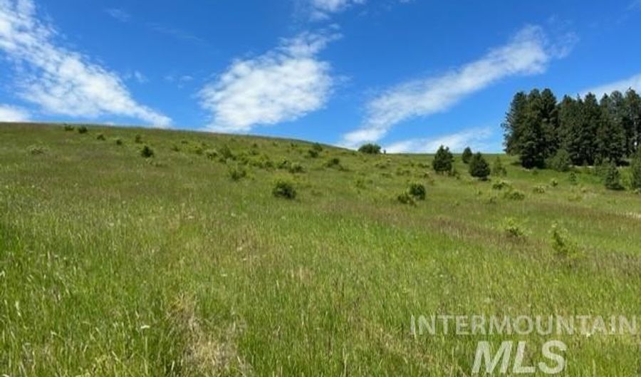 Lot 12 Over Yonder Rd, Cottonwood, ID 83522 - 0 Beds, 0 Bath