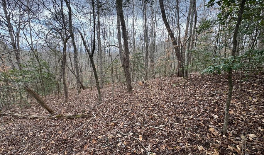 Honey Creek Loop Rd, Allardt, TN 38504 - 0 Beds, 0 Bath