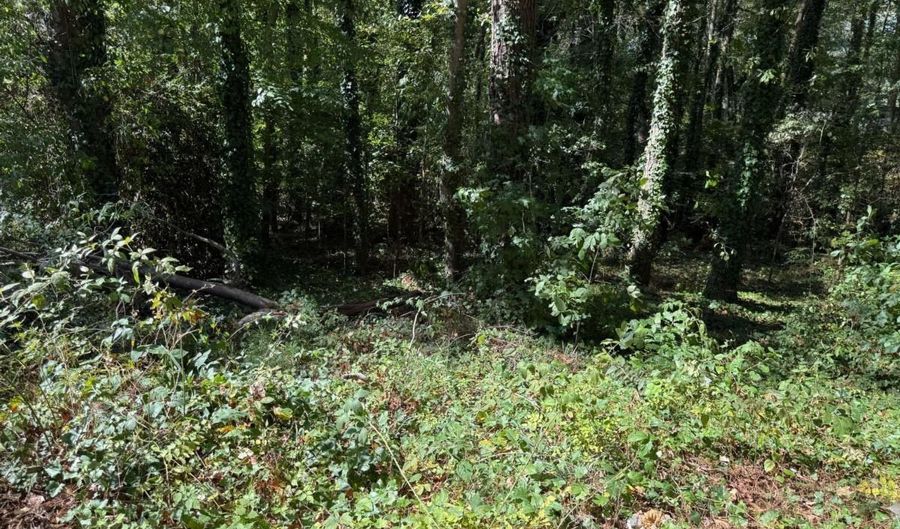 Malvin Drive SW, Austell, GA 30168 - 0 Beds, 0 Bath