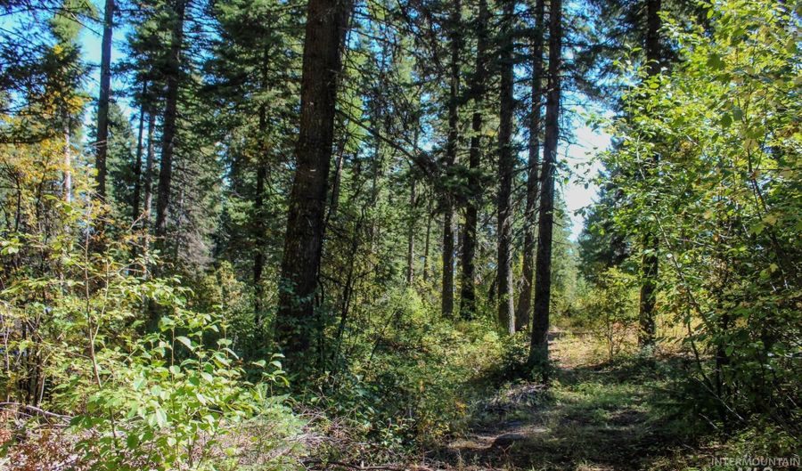 1204 Porcupine Rd, Cascade, ID 83611 - 0 Beds, 0 Bath