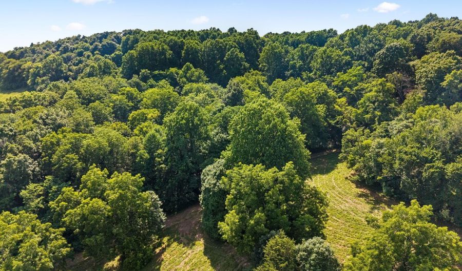 2873 Spring Place Rd, Belfast, TN 37019 - 0 Beds, 0 Bath