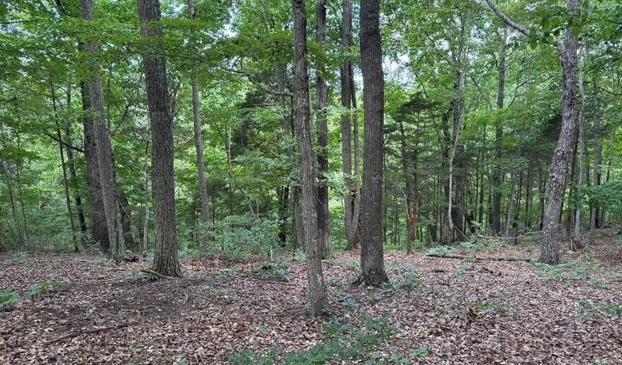 Cornerstone Pkwy lot 12, Allons, TN 38541 - 0 Beds, 0 Bath