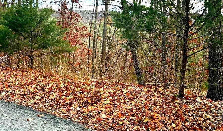 SPITZ Lane, Basye, VA 22810 - 0 Beds, 0 Bath