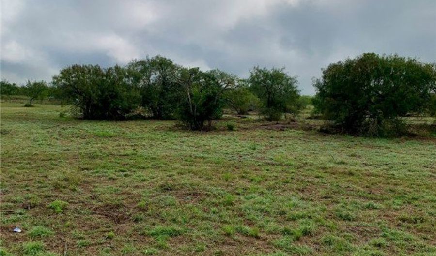 197 COUNTY ROAD 1171, Alice, TX 78332 - 0 Beds, 0 Bath