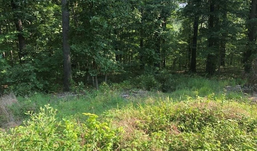 Lot 12 Bingley LN, Bella Vista, AR 72714 - 0 Beds, 0 Bath