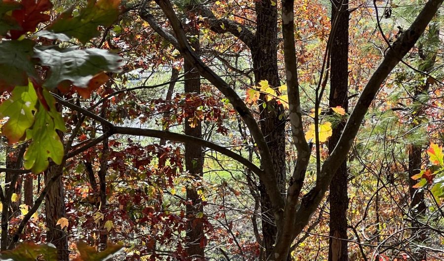 BRENDA Lane, Basye, VA 22810 - 0 Beds, 0 Bath