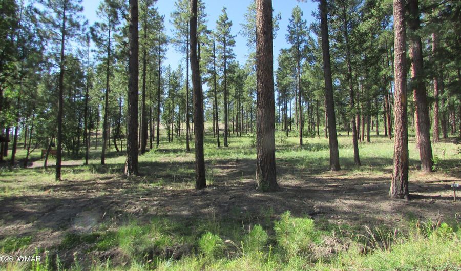 8 CR 2194, Alpine, AZ 85920 - 0 Beds, 0 Bath
