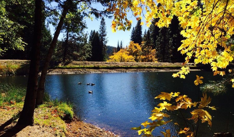 3285 Pocatello Cir, Camp Connell, CA 95223 - 0 Beds, 0 Bath