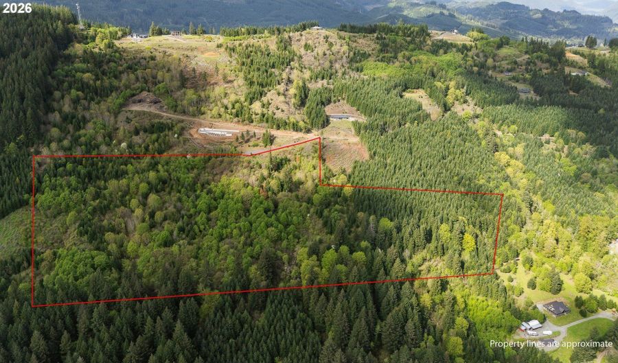 Knights Bridge Rd, Ariel, WA 98603 - 0 Beds, 0 Bath