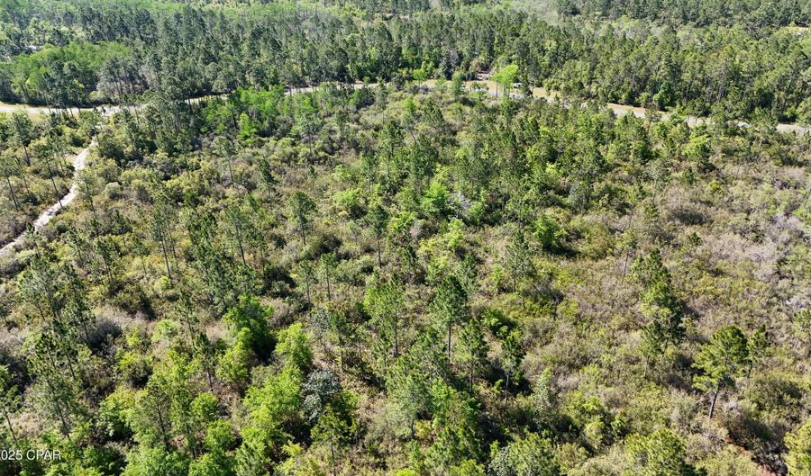 NW Miller Road, Altha, FL 32421 - 0 Beds, 0 Bath