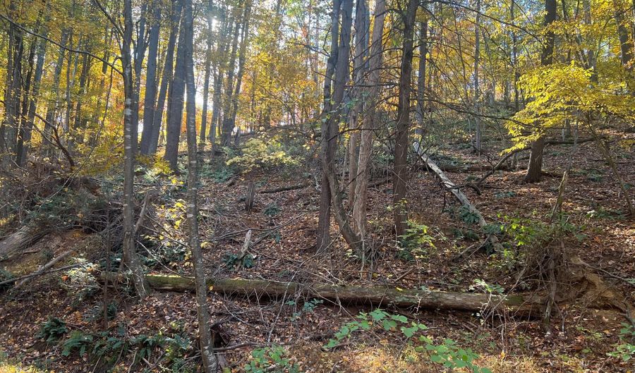 PIN OAK Street, Basye, VA 22810 - 0 Beds, 0 Bath