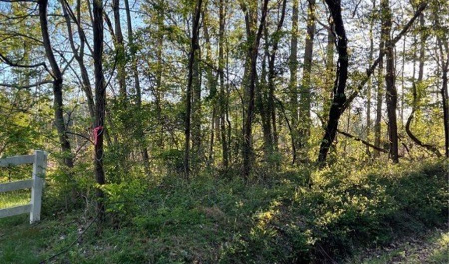 Selma Road, Amelia, VA 23083 - 0 Beds, 0 Bath