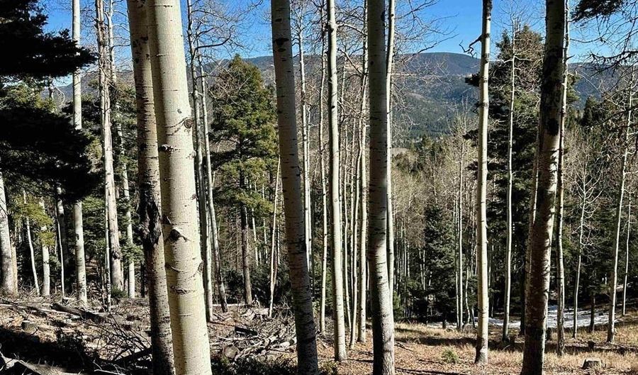 Lot 51 Via de Maria, Angel Fire, NM 87710 - 0 Beds, 0 Bath