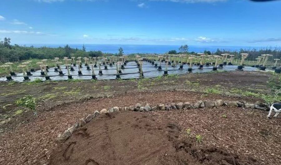 HAWAII BELT ROAD Lot #: 12, Captain Cook, HI 96704 - 0 Beds, 0 Bath