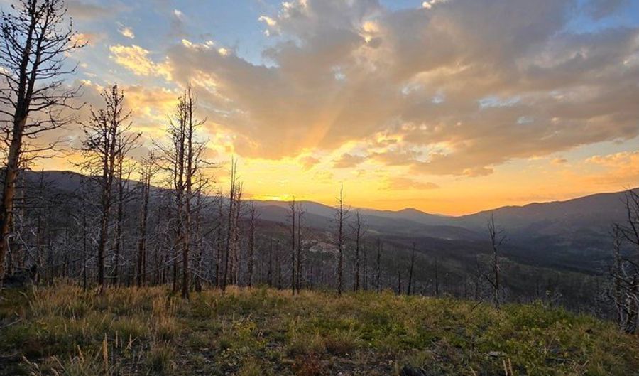 75 Sheep Horn Ct, Bellvue, CO 80512 - 0 Beds, 0 Bath