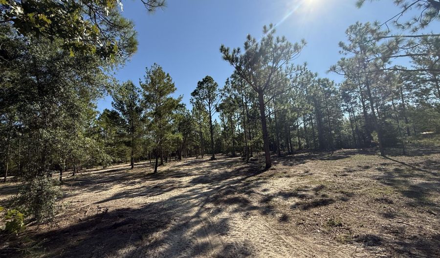 Adams Drive, Alford, FL 32420 - 0 Beds, 0 Bath