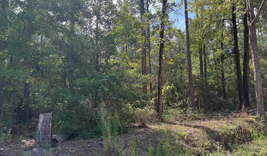 Catherine Bailey Rd, Andalusia, AL 36421 - 0 Beds, 0 Bath