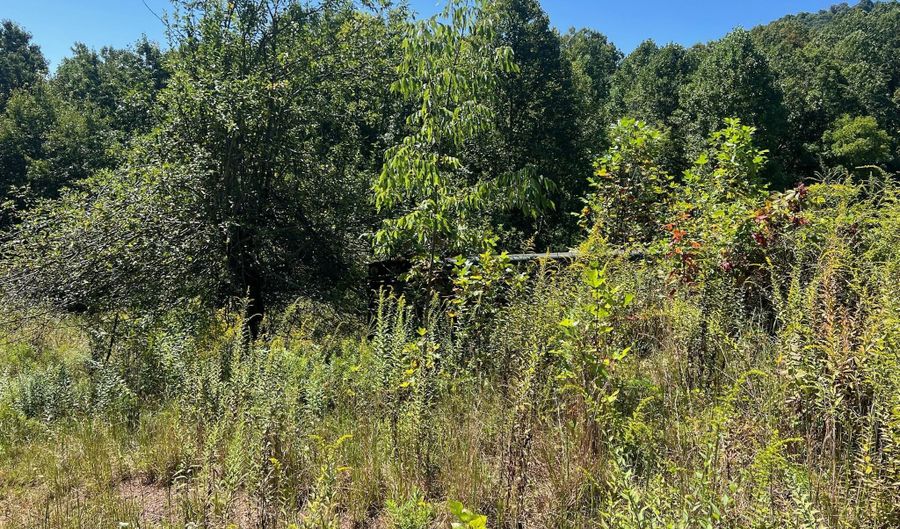 Hamilton Ridge Road, Alderson, WV 24910 - 0 Beds, 0 Bath