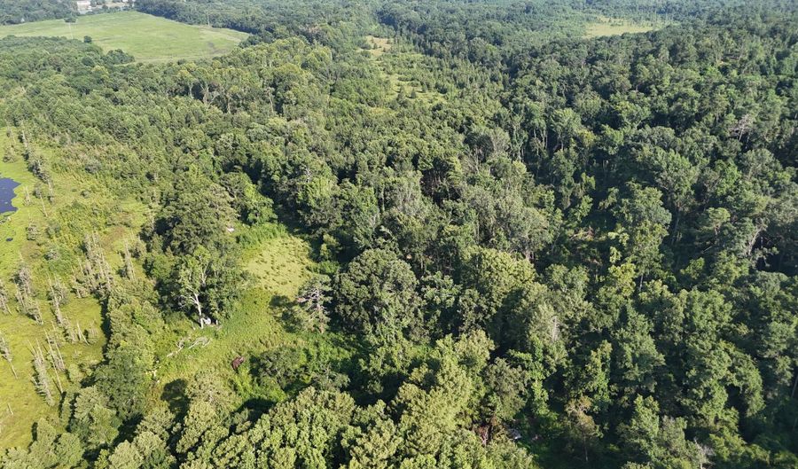 Swamp Road, Beech Island, SC 29842 - 0 Beds, 0 Bath