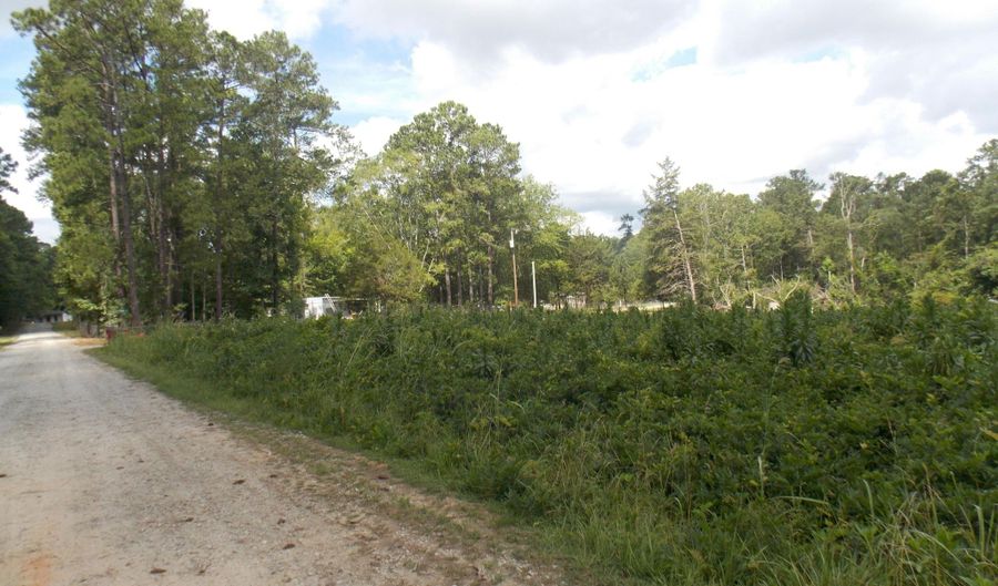 00 Chamberlain Ferry Rd, Lincolnton, GA 30817 - 0 Beds, 0 Bath