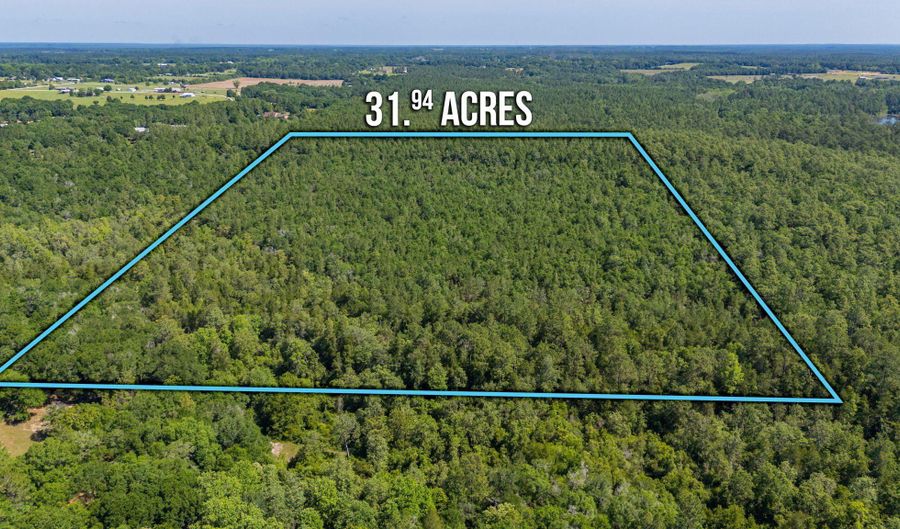 31 Acres Canyon Trl, Baker, FL 32531 - 0 Beds, 0 Bath