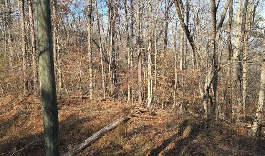 00001 Hwy 369, Ball Ground, GA 30107 - 0 Beds, 0 Bath