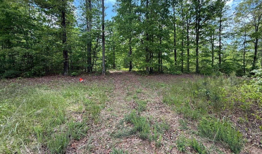 4612 KING WILLIAM Rd, Aylett, VA 23009 - 0 Beds, 0 Bath