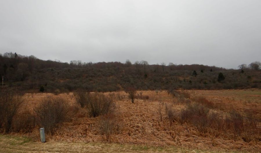County Route 16, Angelica, NY 14709 - 0 Beds, 0 Bath