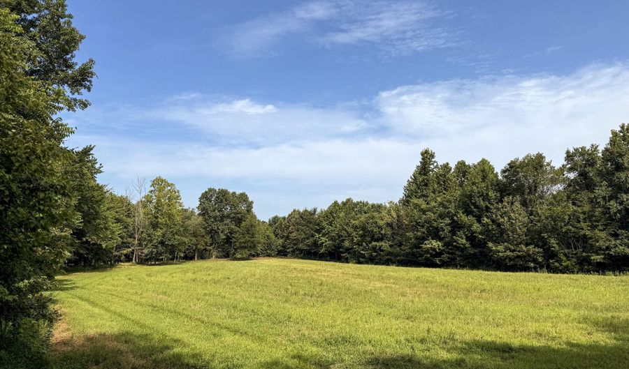 Poplar Springs Road, Atwood, TN 38220 - 0 Beds, 0 Bath