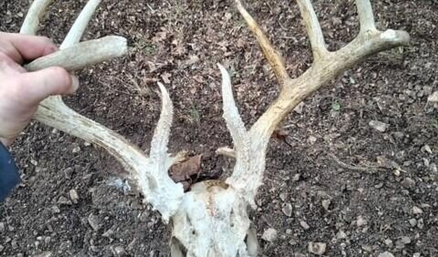 Farm Road 1245, Aurora, MO 65605 - 0 Beds, 0 Bath