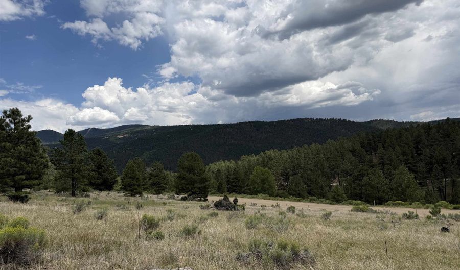 1217 Colonial Trl, Angel Fire, NM 87710 - 0 Beds, 0 Bath